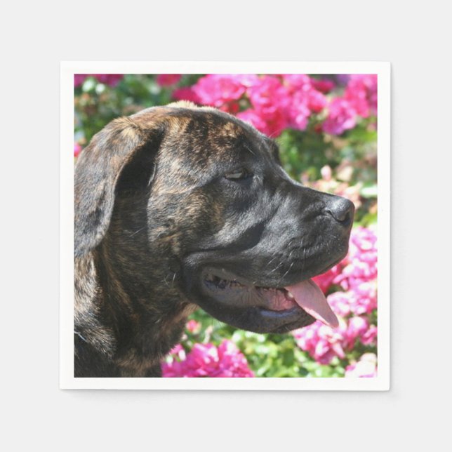 Servilleta De Papel Brindle Mastiff (Anverso)