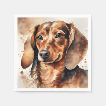 Brown Dachshund