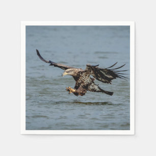 Servilleta De Papel Buceo inmaduro de águila calva para un pez