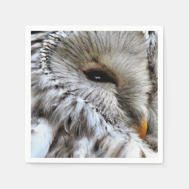 SERVILLETA DE PAPEL BÚHO (Anverso)