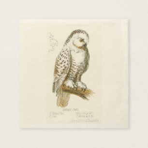 Servilleta De Papel Búho Nevado