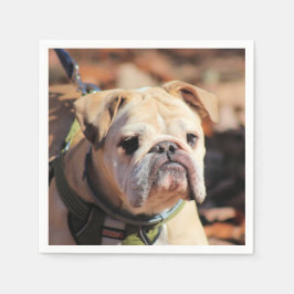 Servilleta De Papel Bulldog