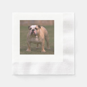 Servilleta De Papel bulldog 2.png lleno