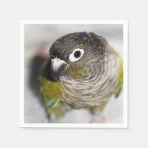 Servilleta De Papel Burbel