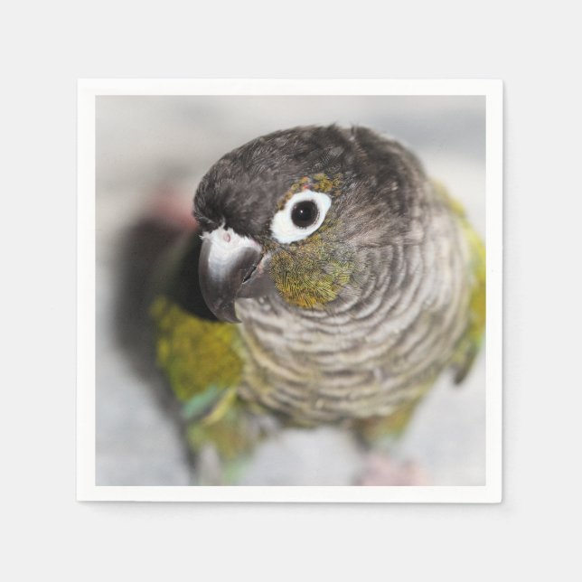 Servilleta De Papel Burbel (Anverso)