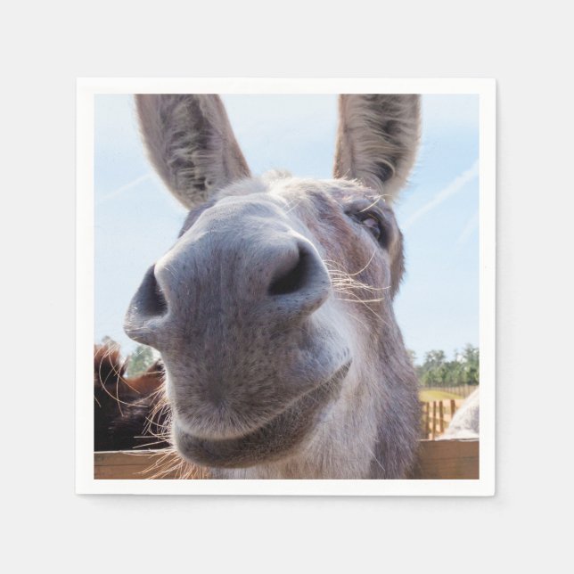 Servilleta De Papel Burro gris sonriente cómico (Anverso)