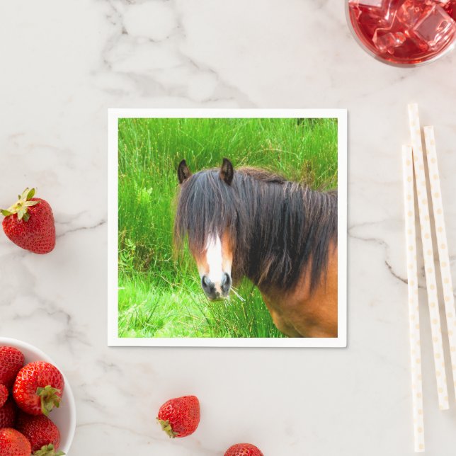 SERVILLETA DE PAPEL CABALLOS (In situ)