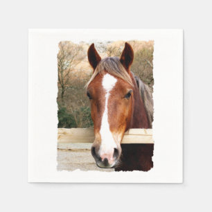 SERVILLETA DE PAPEL CABALLOS