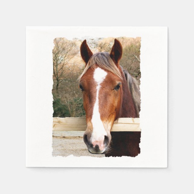 SERVILLETA DE PAPEL CABALLOS (Anverso)