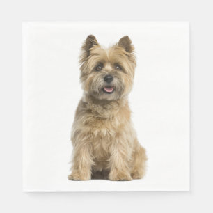 Servilleta De Papel Cachorro cachorro Perro amante Fiesta Cairn Terrie