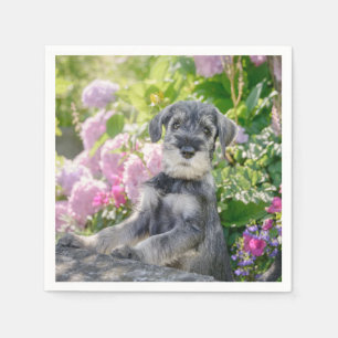 Servilleta De Papel Cachorro Schnauzer estándar en un jardín de flor