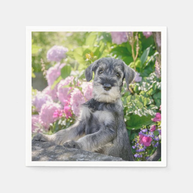 Servilleta De Papel Cachorro Schnauzer estándar en un jardín de flores (Anverso)