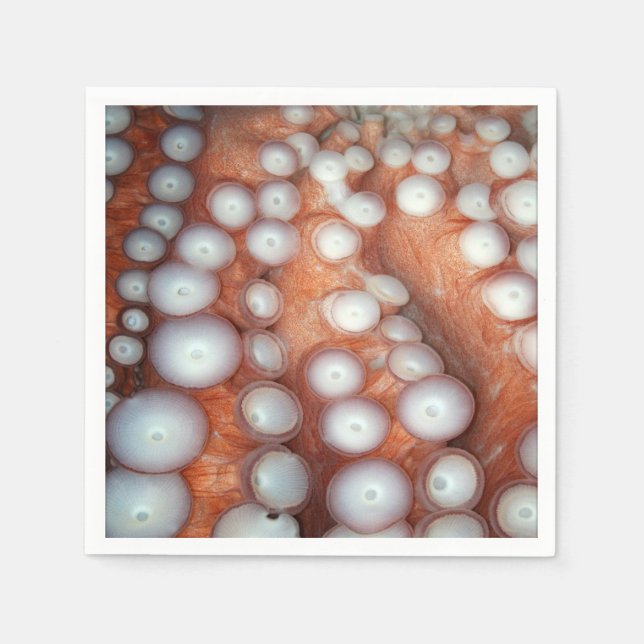 Servilleta De Papel Caer en el pulpo cercano (Anverso)