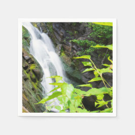 Servilleta De Papel Caída de agua del cañón de la puerta del infierno