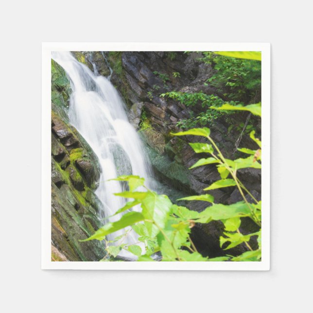 Servilleta De Papel Caída de agua del cañón de la puerta del infierno (Anverso)