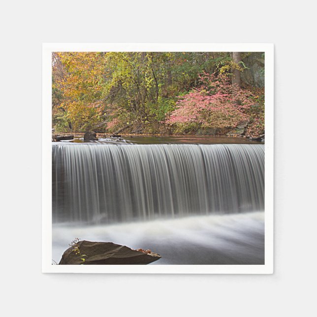 Servilleta De Papel Caída de otoño en Vanderbuild (Anverso)