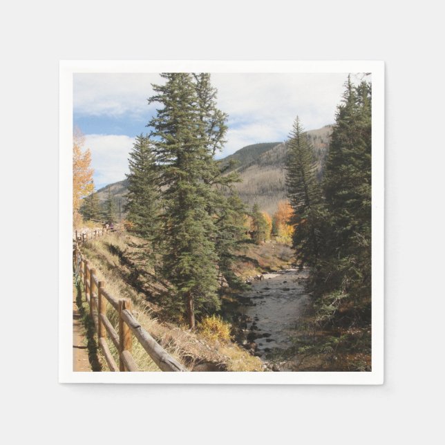 Servilleta De Papel Caída en Aspen (Anverso)