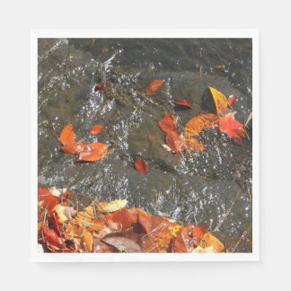 Servilleta De Papel Caídas en cataratas en fotografía de otoño