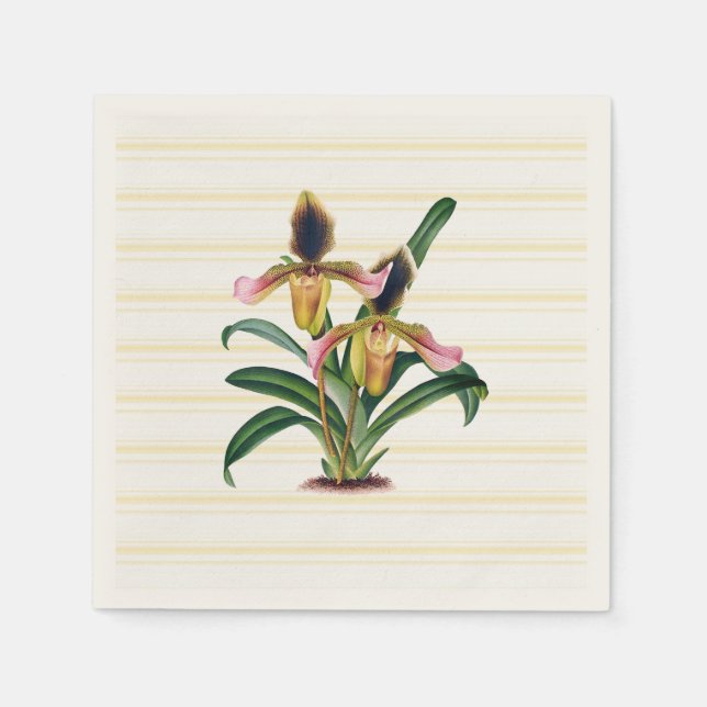 Servilleta De Papel Calabazas de papel botánico de Lady's Slipper Orch (Anverso)