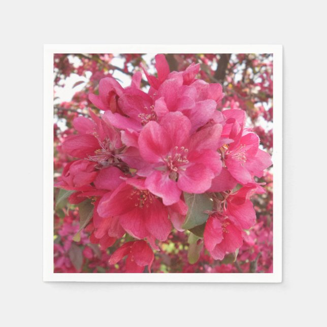 Servilleta De Papel Calabazas de papel de cóctel de flores de primaver (Anverso)