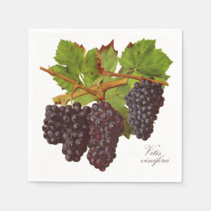 Servilleta De Papel Calabazas de papel de uvas púrpuras botánicas (Set
