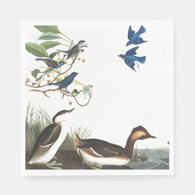 Servilleta De Papel Calabazas de papel de vida silvestre Audubon Colla (Anverso)