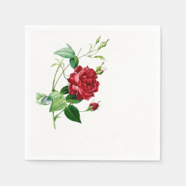 Servilleta De Papel Calabazas de papel Rosa de Redoute Rojo único