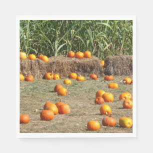 Servilleta De Papel Calabazas, maíz y heno Fotografía de la cosecha de