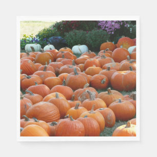 Servilleta De Papel Calabazas y crisantemos Fotografía de la cosecha d