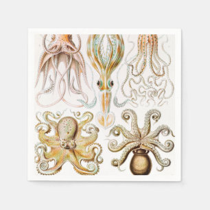 Servilleta De Papel Calamar del pulpo, Gamochonia por Ernst Haeckel