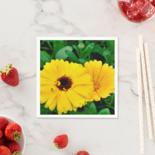 Servilleta De Papel Calendula Officinalis Papel Napkins