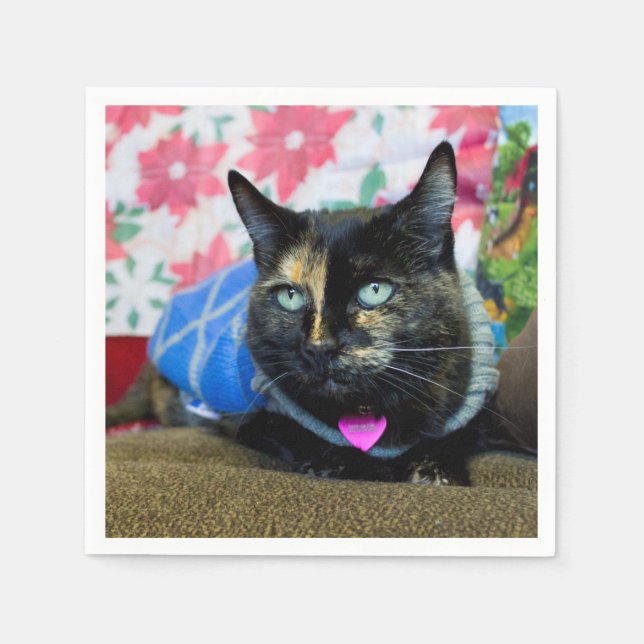 Servilleta De Papel Calico III (Anverso)