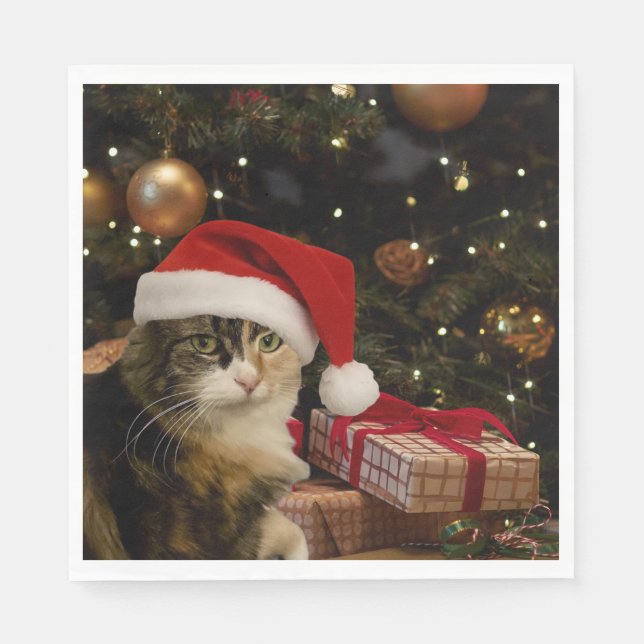 Servilleta De Papel Calico Santa Kitty Napkins (Anverso)