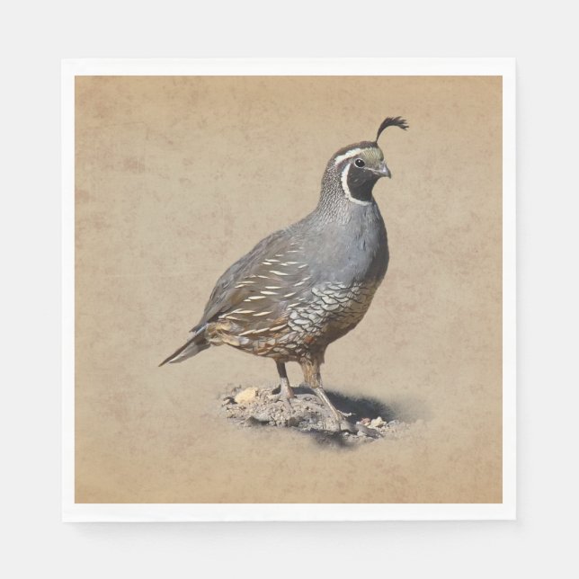 SERVILLETA DE PAPEL CALIFORNIA QUAIL (Anverso)