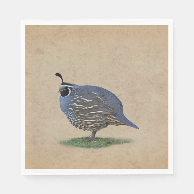 SERVILLETA DE PAPEL CALIFORNIA QUAIL (Anverso)