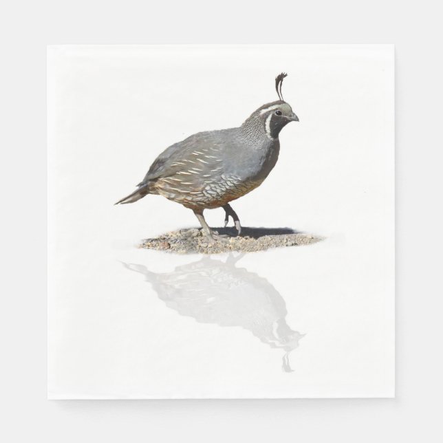 SERVILLETA DE PAPEL CALIFORNIA QUAIL REFLEJADO (Anverso)