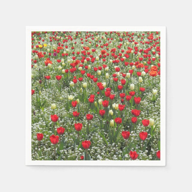 Servilleta De Papel Cama de tulipanes (Anverso)