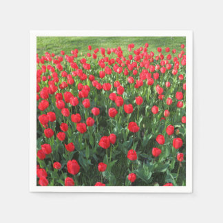 Servilleta De Papel Cama de Tulipanes Rojos 01