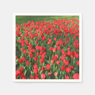 Servilleta De Papel Cama de Tulipanes Rojos 02