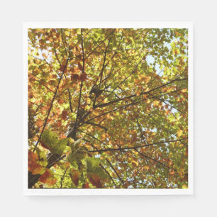 Servilleta De Papel Cambiante color de otoño verde y dorado del arce