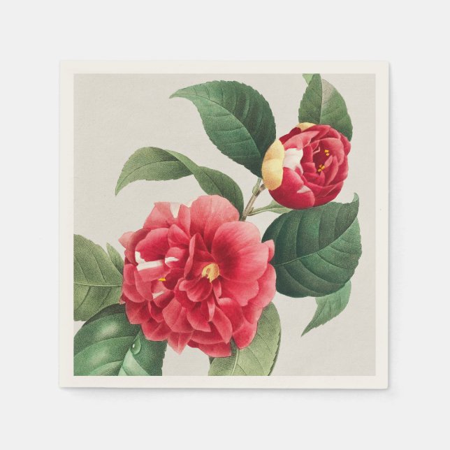 Servilleta De Papel Camelia Variegada, Pierre-Joseph Redouté, 1833 (Anverso)