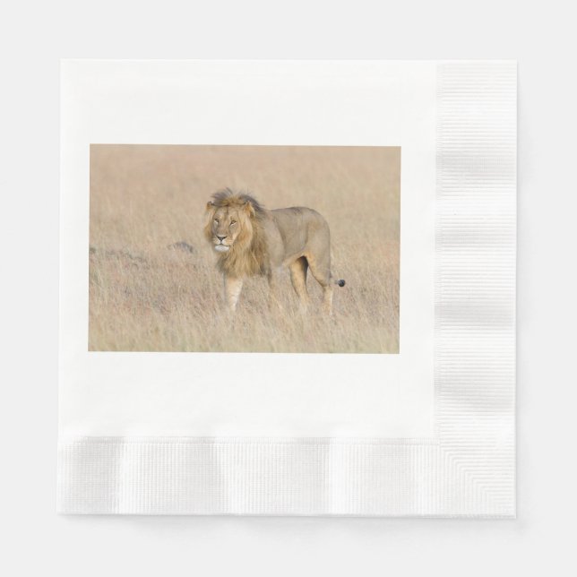 Servilleta De Papel Caminata de leones (Anverso)