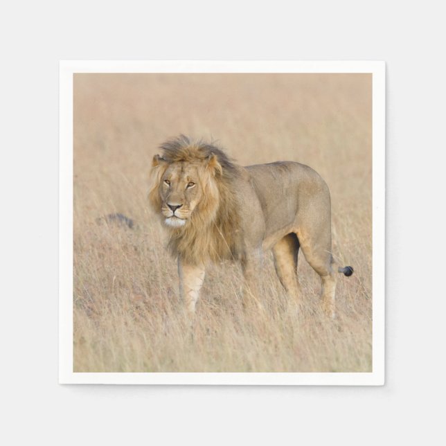 Servilleta De Papel Caminata de leones (Anverso)