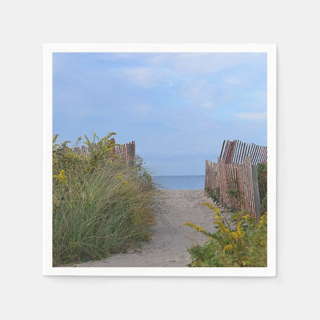 Servilleta De Papel Camino A La Caleta De Playa (Anverso)