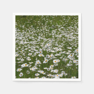 Servilleta De Papel Campo de flores silvestres de Daisies Alaskan