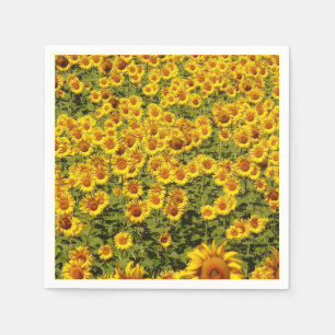 Servilleta De Papel Campo de Girasoles