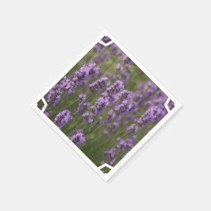 Servilleta De Papel Campo de la lavanda