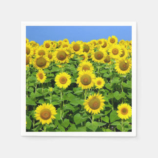 Servilleta De Papel Campos de girasol