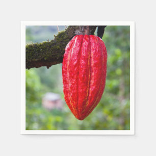 Servilleta De Papel caña de cacao