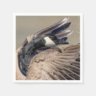 Servilleta De Papel Canada Goose